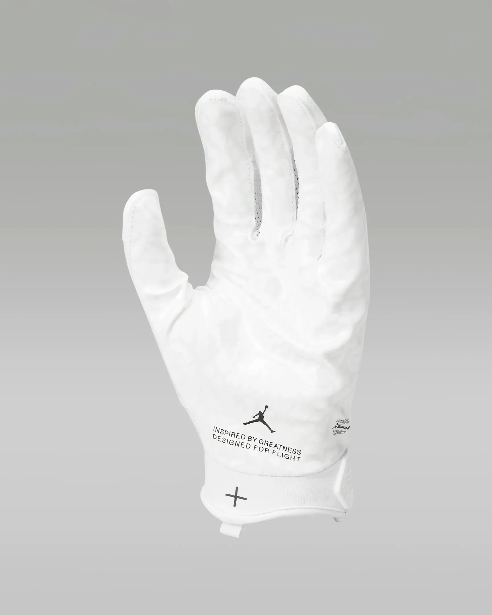 Jordan Fly Lock Football Gloves | White